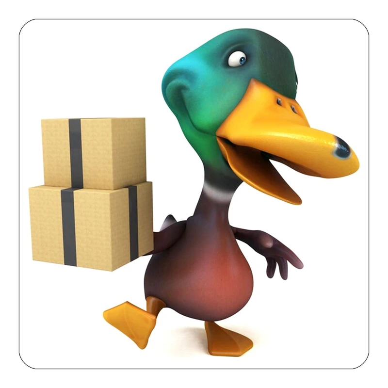 مگنت کاکتی طرح حیوانات کارتونی مدل mp28423