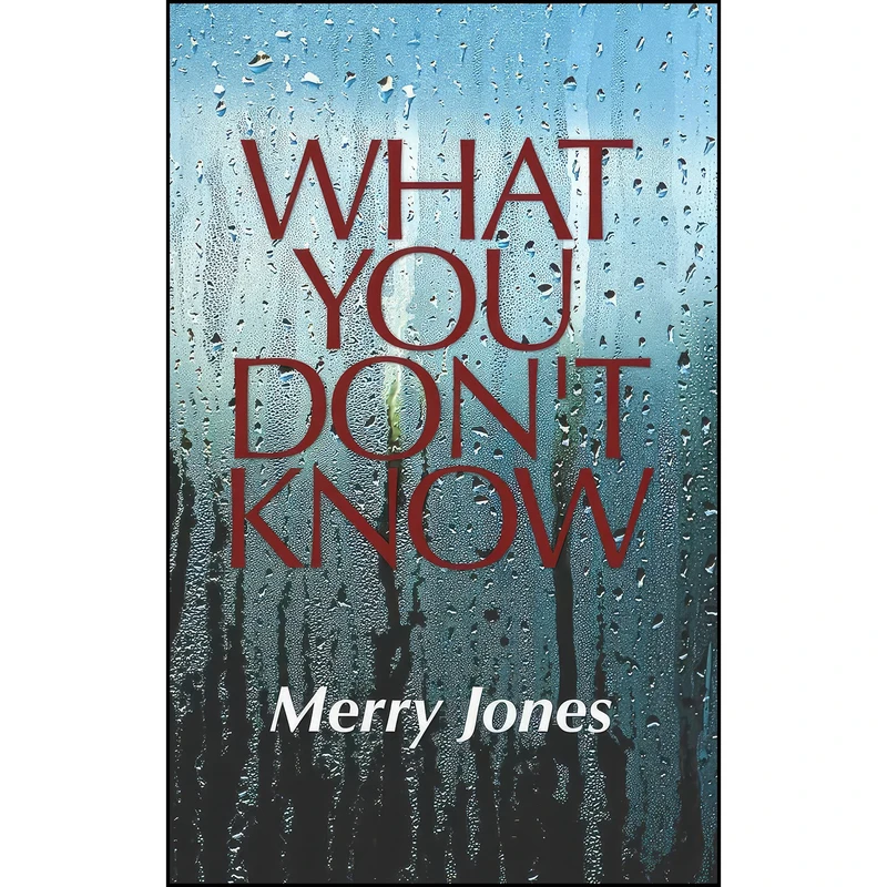 کتاب What You Dont Know اثر Merry Bloch Jones انتشارات BLOCH BOOKS