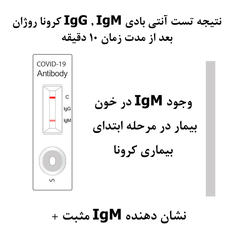تست سریع آنتی بادی مدل IgG IgM بسته 3 عددی