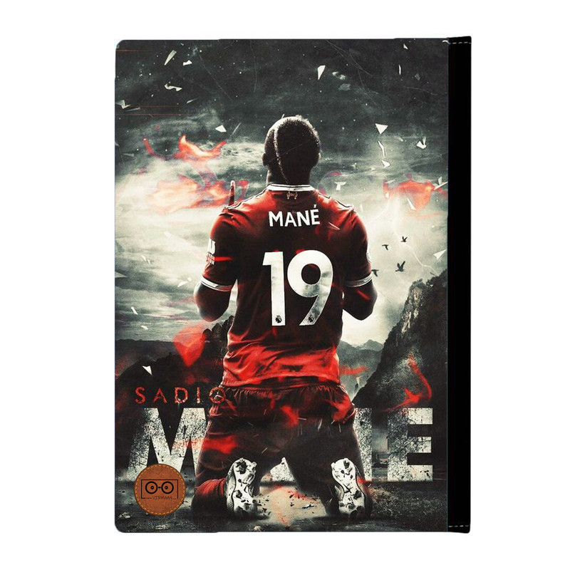 کلاسور ویرمان طرح سادیو مانه