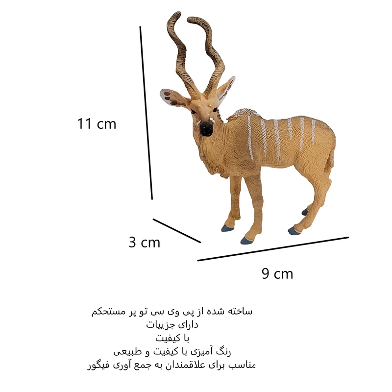 عکس شماره 2