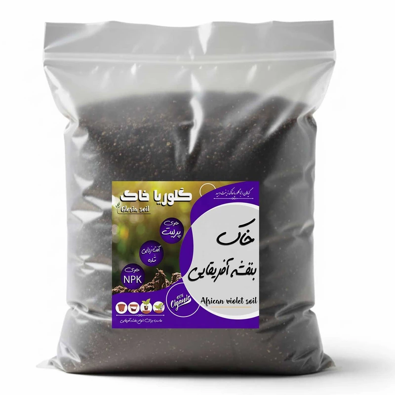 خاک بنفشه آفریقایی گلوریا مدل 4LR وزن 2 کیلوگرم