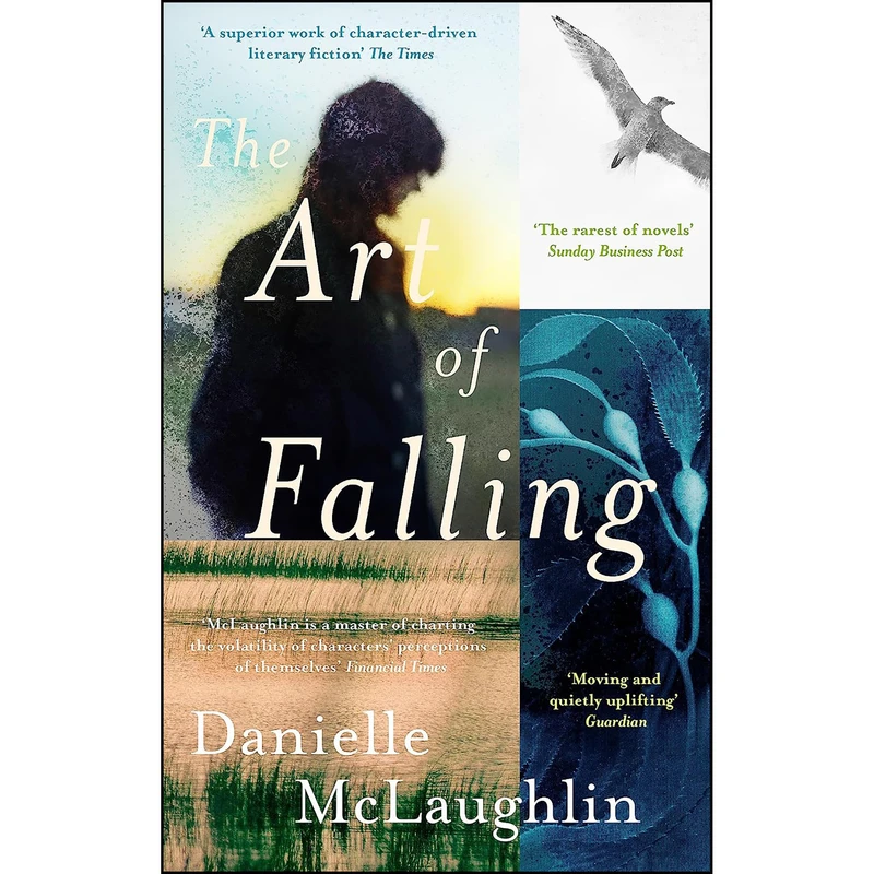 کتاب The Art of Falling اثر Danielle McLaughlin انتشارات John Murray