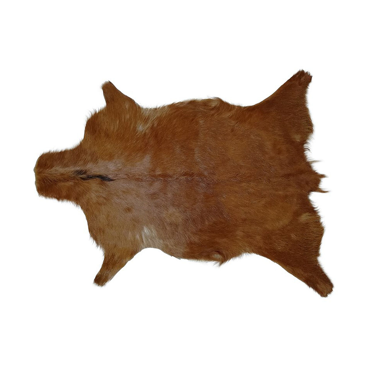 فرش پوست طبیعی کمالی مدل AC-00121