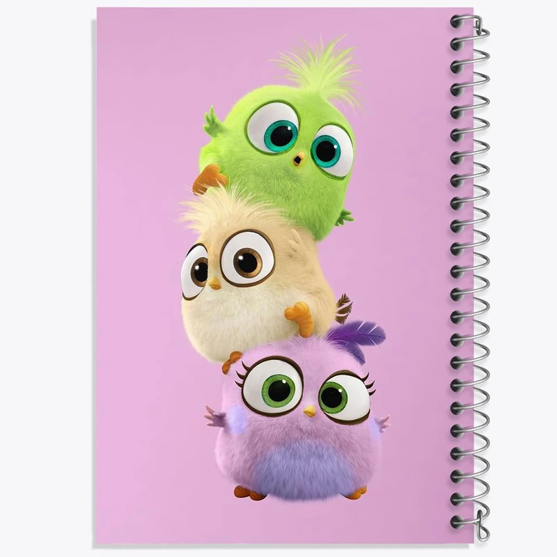 دفتر نت موسیقی 50 برگ خندالو مدل پرندگان خشمگین Angry Birds کد 13857