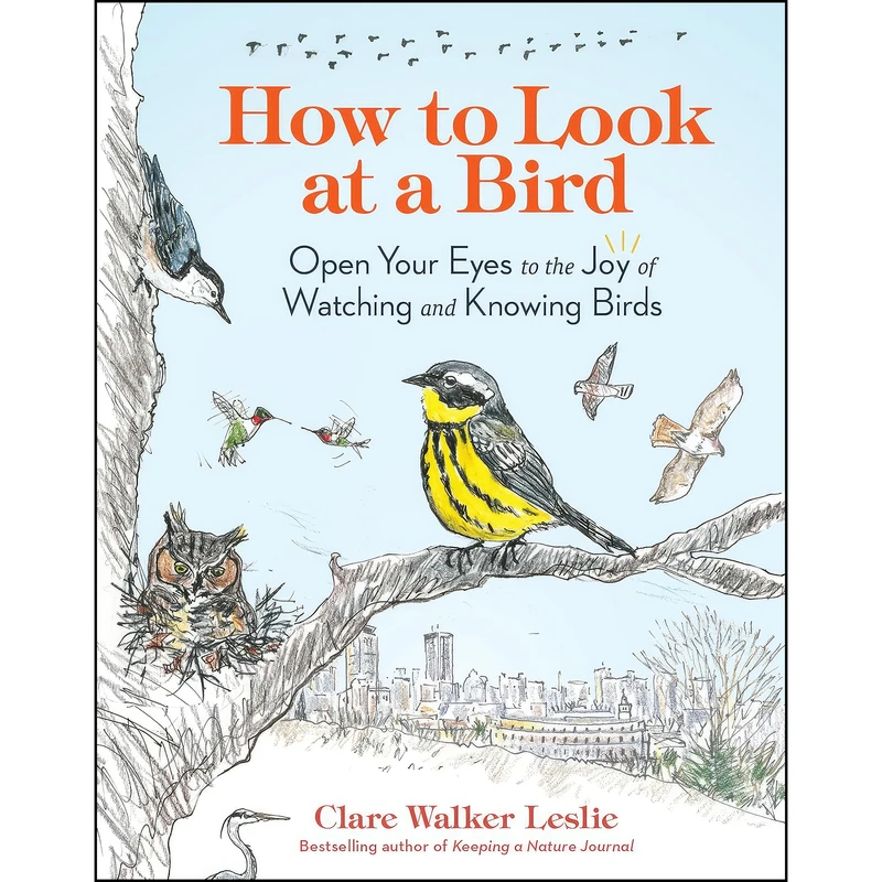 کتاب How to Look at a Bird اثر Clare Walker Leslie انتشارات Storey Publishing, LLC