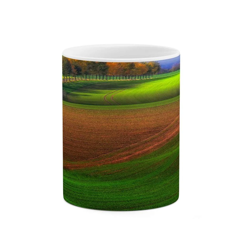 ماگ کاکتی مدل منظره کد mgh16885