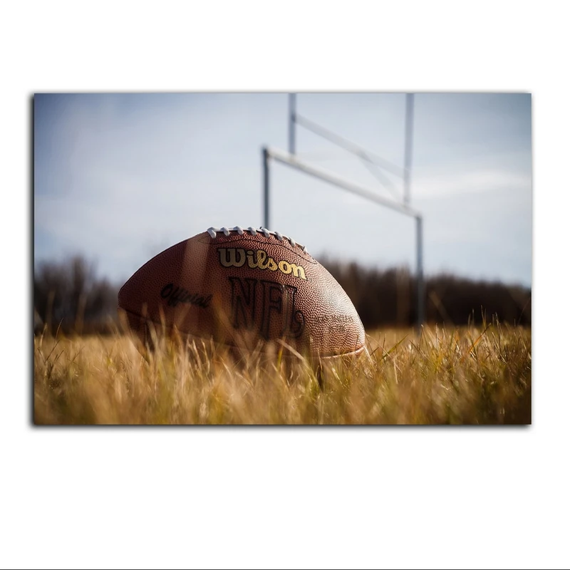 تابلو شاسی بکلیت طرح ورزشی فوتبال آمریکایی مدل SH-S7203