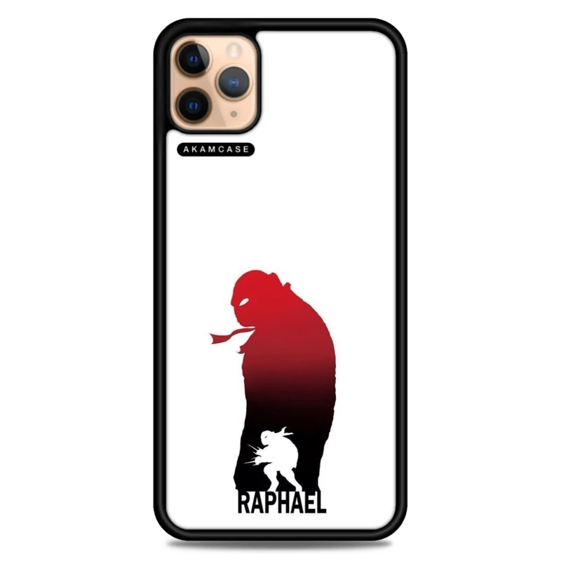 کاور آکام مدل AMC-WA11PRO-NINJA TURTLES7 مناسب برای گوشی موبایل اپل iPhone 11 Pro