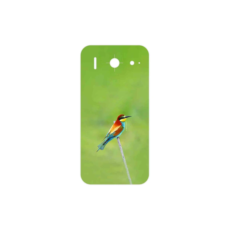 برچسب پوششی ماهوت مدل European bee-eater مناسب برای گوشی موبایل هوآوی Ascend G510