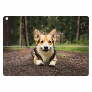 MAHOOT Dog-2 Cover Sticker for ASUS Transformer 3 Pro 2016