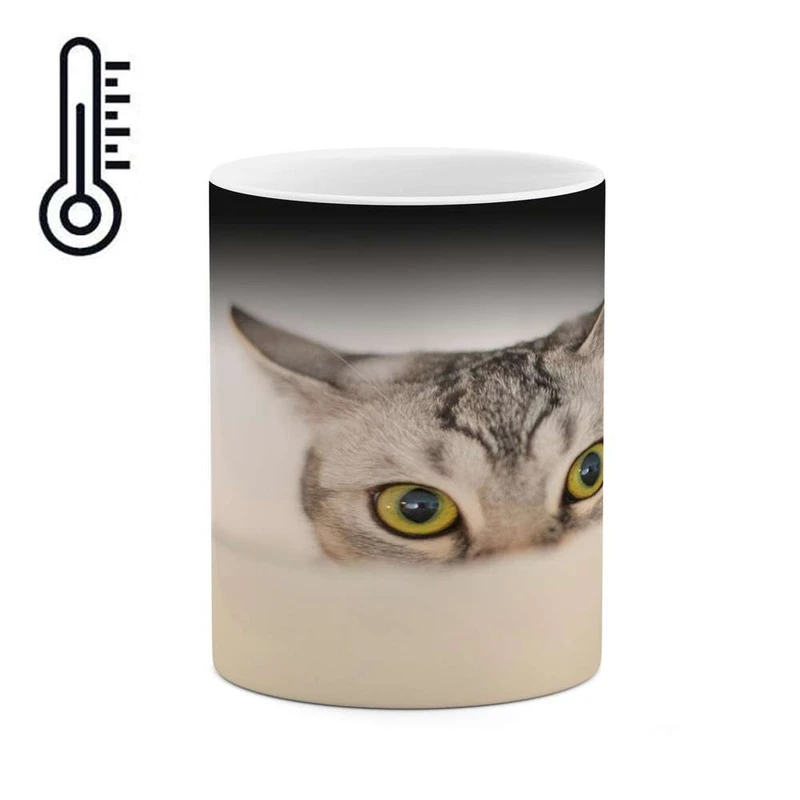 ماگ حرارتی کاکتی مدل گربه کد mgh16563