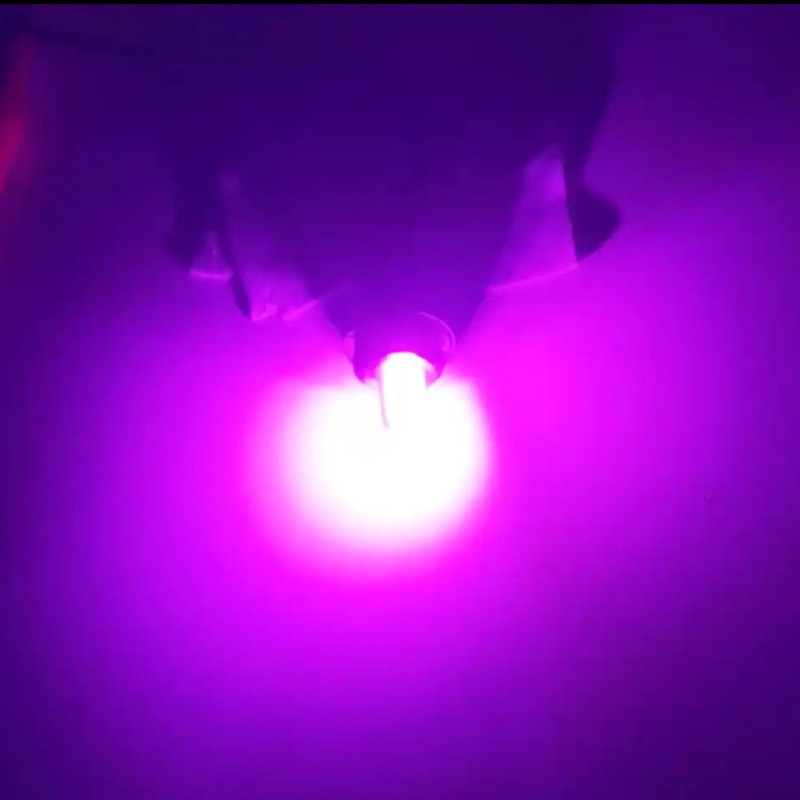 لامپ پلاک خودرو تایپر مدل 10smd-P بسته دو عددی