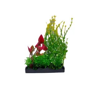 درختچه تزیینی آکواریوم مدل گل