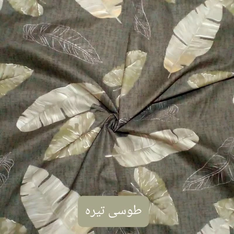 عکس شماره 3