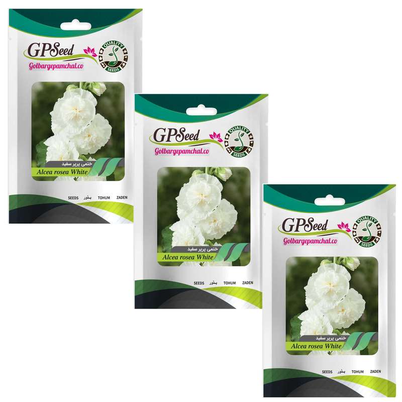 بذر گل ختمی پرپر سفید گلبرگ پامچال کد GPF-244 مجموعه 3 عددی