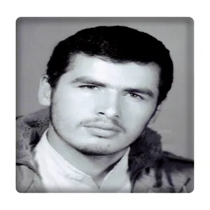 کاشی مدل شهید پلارک km10 کد 408