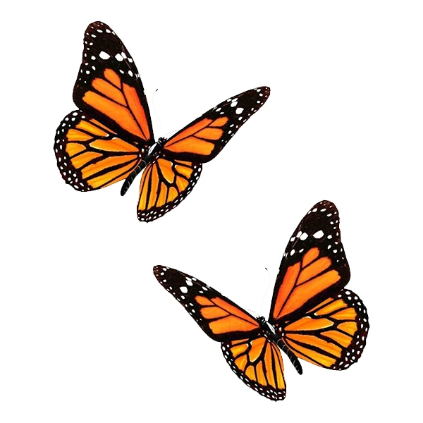 استیکر پارچه و لباس پاد آفرین طرح پروانه کد 5308