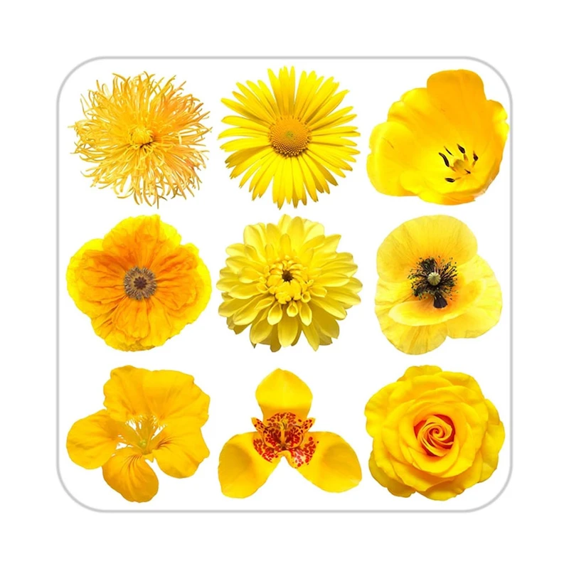 زیر لیوانی کاکتی طرح گل مدل mp16866