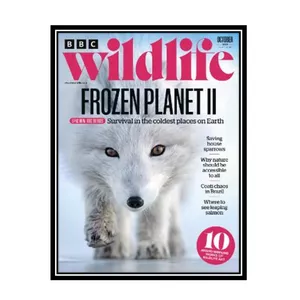 مجله BBC Wild Life اکتبر 2022