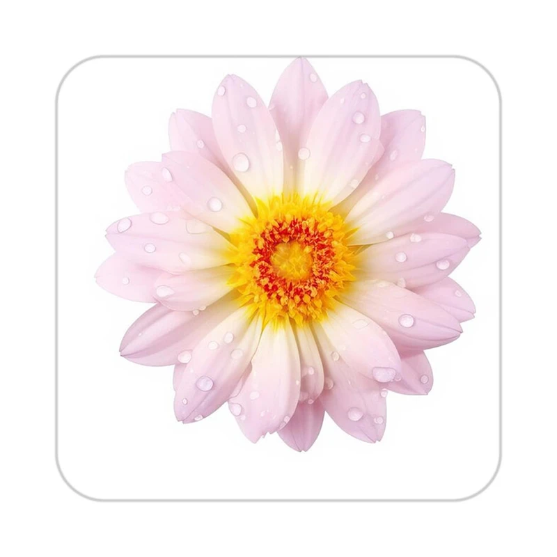 زیر لیوانی کاکتی طرح گل مدل mp17539