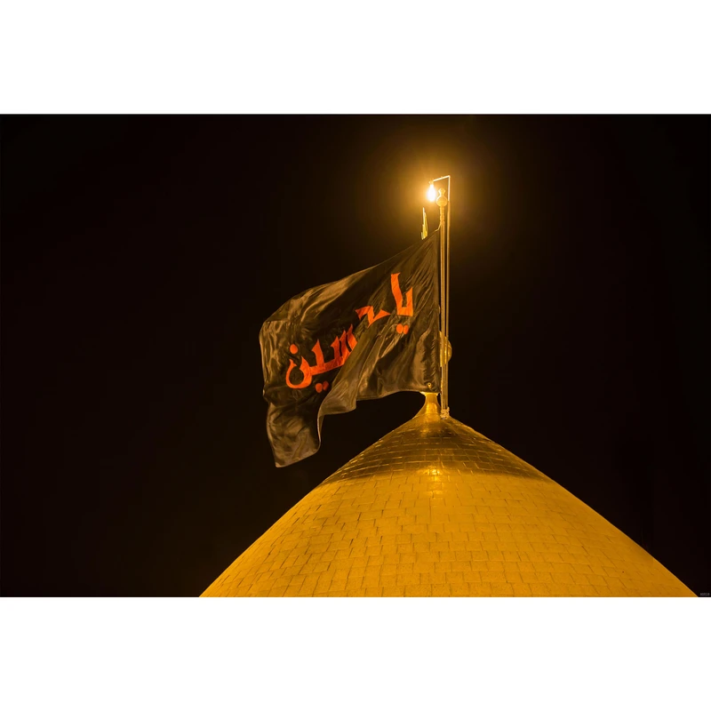 تابلو شاسی طرح گنبد حرم امام حسین مدل T2442