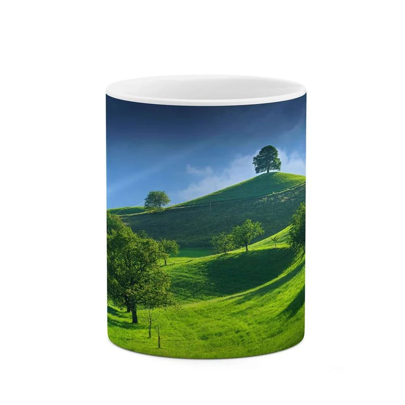 ماگ کاکتی مدل منظره کد mgh16170