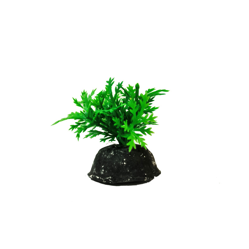 گیاه تزیینی آکواریوم کد VB09 مجموعه 10 عددی
