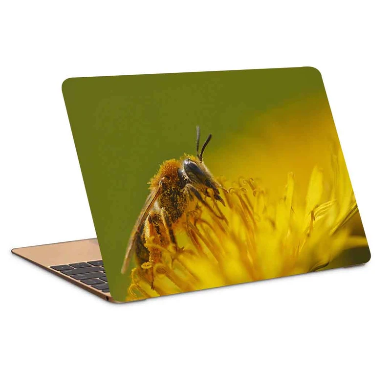 استیکر لپ تاپ طرح bee-4کد P-631مناسب برای لپ تاپ 15.6 اینچ