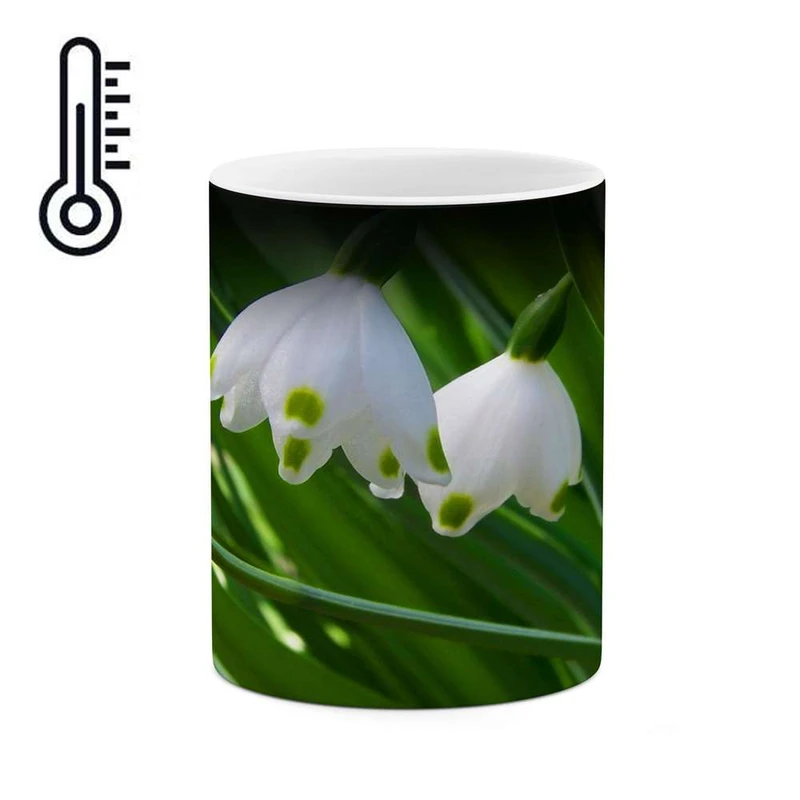 ماگ حرارتی کاکتی مدل گل کد mgh12207