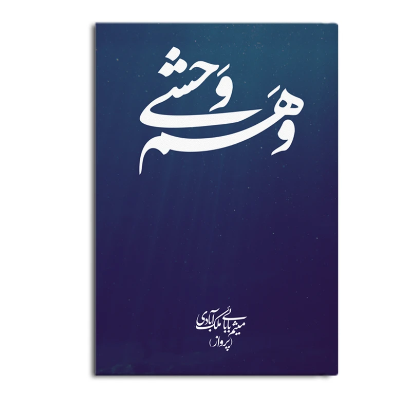 کتاب وهم وحشی اثر میثم بابائی ملک‌ آبادی (پرواز) نشر متخصصان