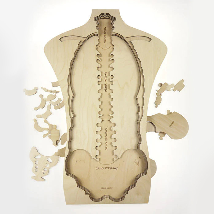 بازی آموزشی مدل مولاژ آناتومی بدن انسان کد M117-2