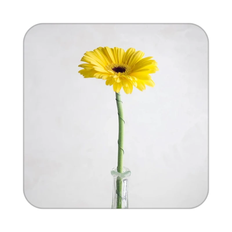 زیر لیوانی کاکتی طرح گل مدل mp18793