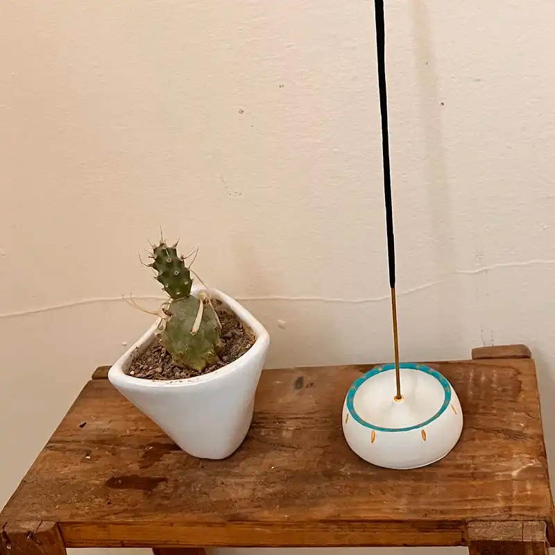 جاعودی مدل گرد کد 01