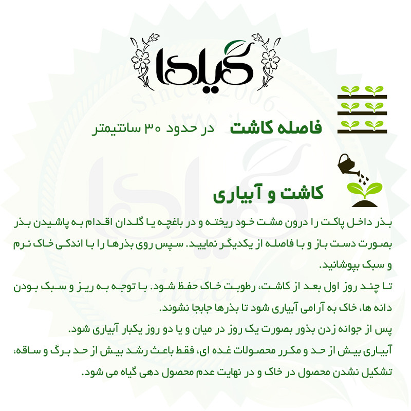 بذر شلغم گیلدا کد 740