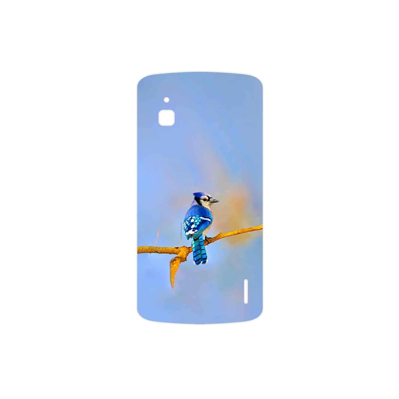 برچسب پوششی ماهوت مدل Cyanocitta cristata مناسب برای گوشی موبایل گوگل Nexus 4