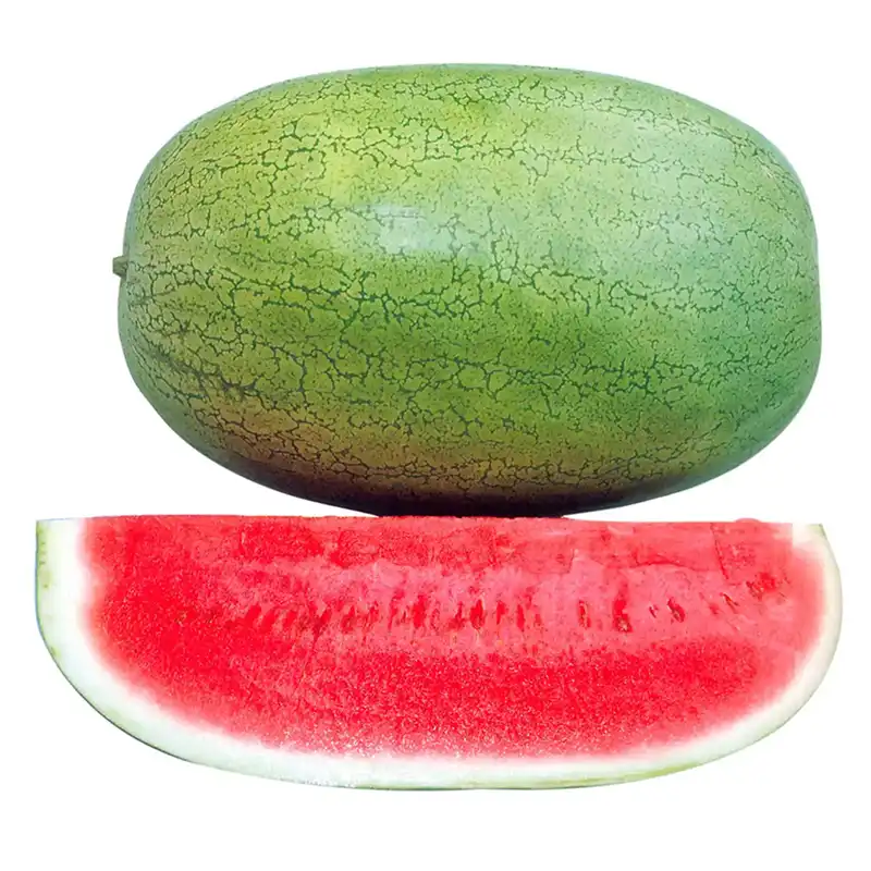 بذر هندوانه چارلستون کد B28