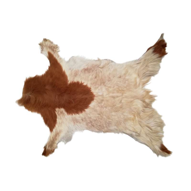 فرش پوست و چرم کمالی مدل AC-00510