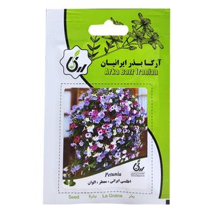 بذر گل اطلسی ایرانی معطر الوان آرکا بذر ایرانیان کد ARK-103