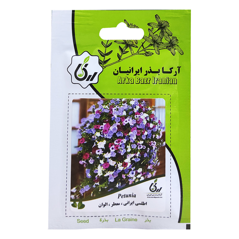 بذر گل اطلسی ایرانی معطر الوان آرکا بذر ایرانیان کد ARK-103