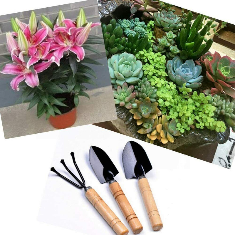 بیلچه و چنگک باغبانی مدل OXIN مجموعه 3 عددی