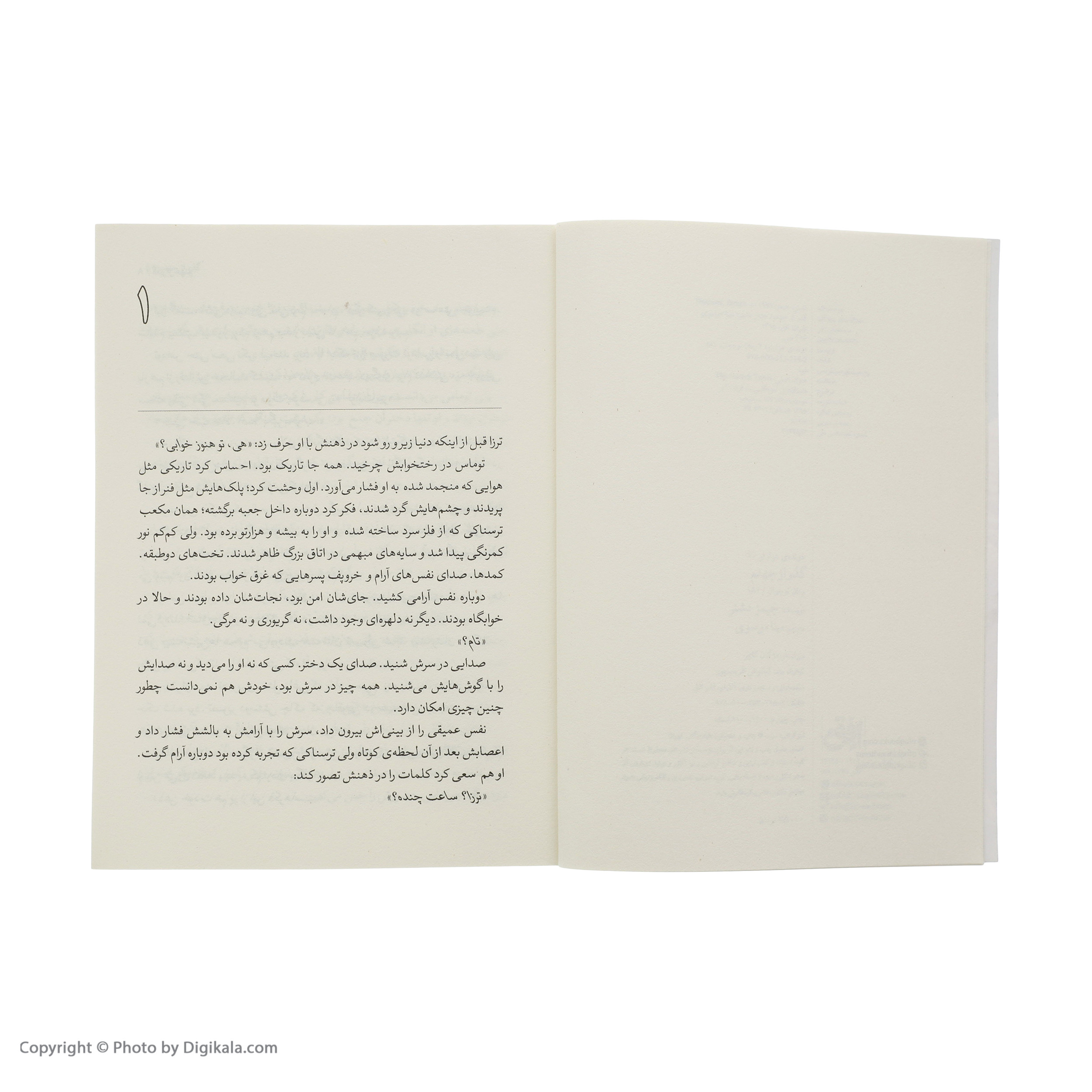 کتاب دونده هزار تو 2 گذر از جهنم اثر جیمز دشنر نشر افق
