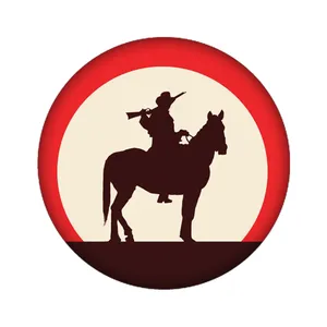 استیکر تزئینی موبایل مدل وسترن کد 3125