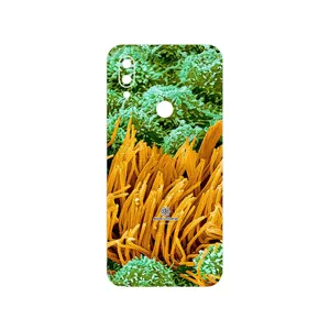 MAHOOT Atom Universe 6 Cover Sticker for Xiaomi Redmi 7