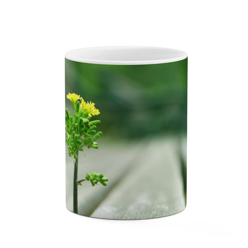 ماگ کاکتی طرح گل کد mgp11411