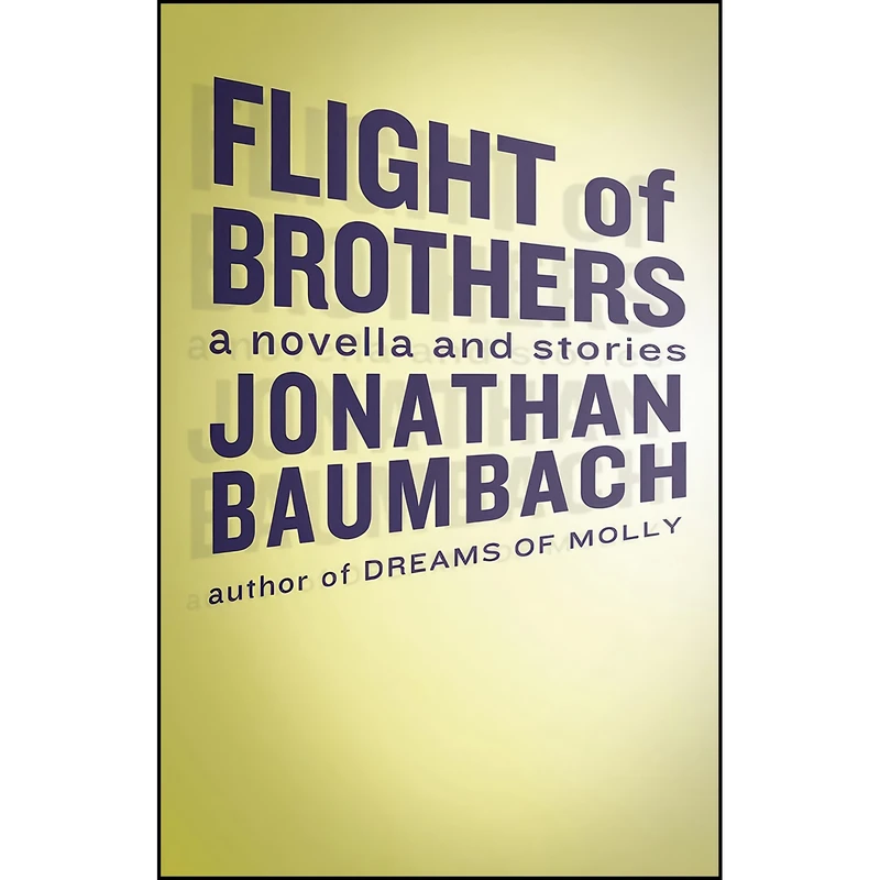 کتاب Flight of Brothers اثر Jonathan Baumbach انتشارات Dzanc Books