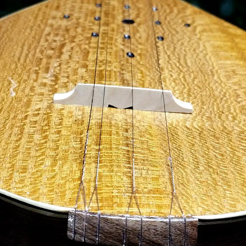 سه تار مدل  ایران ساز کد tiredovsef