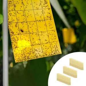 چسب حشره کش مدل Sticky Trap بسته 30 عددی