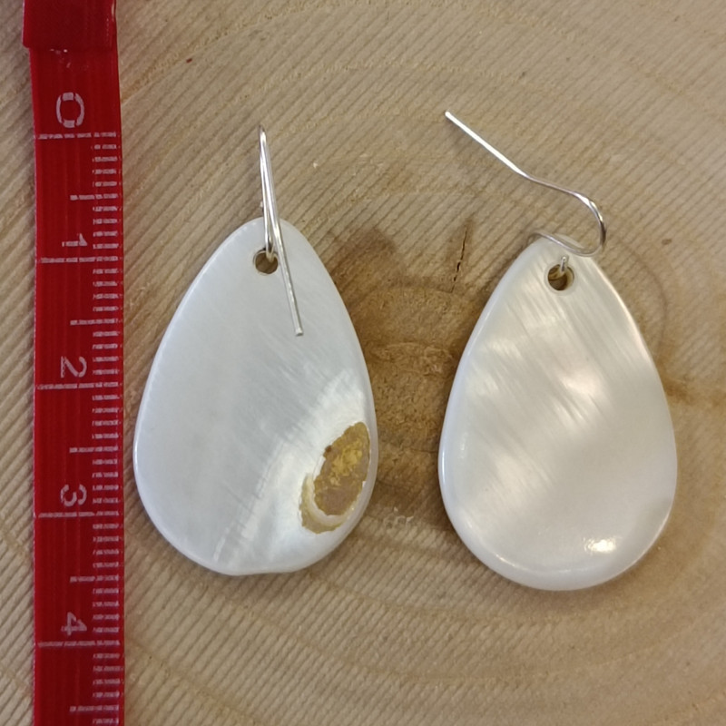 گوشواره زنانه مدل صدف