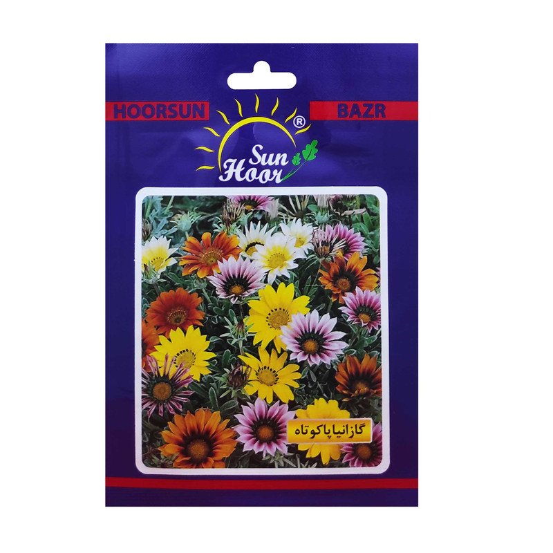 بذر گل گازانیا پاکوتاه هورسان بذر کد HSN-039